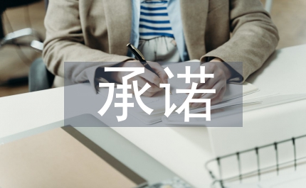 師德承諾總結(jié)
