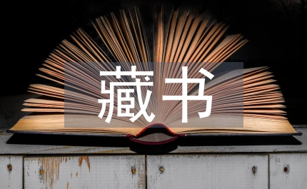 圖書館藏書發展