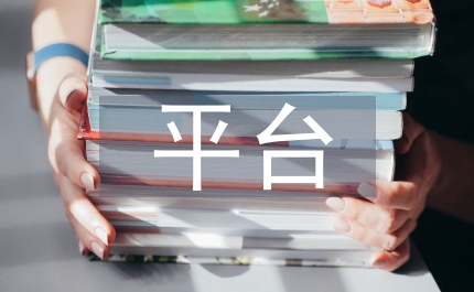 P2P平臺市場分析論文