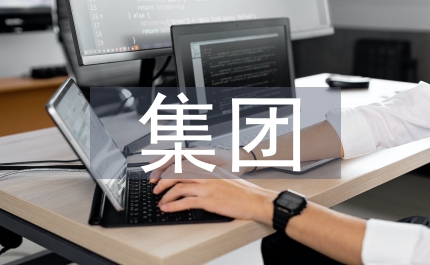集團公司財務管控