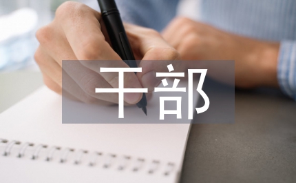 縣級(jí)干部考察材料