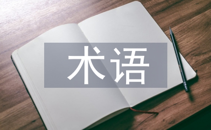 時(shí)事政治術(shù)語(yǔ)翻譯
