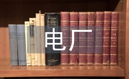 電廠轉(zhuǎn)正總結(jié)