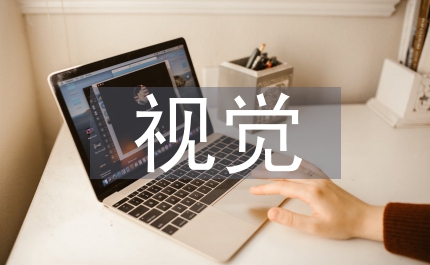 視覺文化一大學"視覺文化"課程和專業(yè)